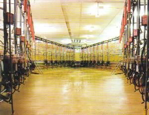 A large, light working area in the polgon type parlour