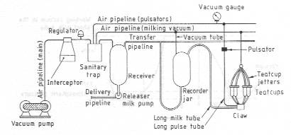 Schematic layout of a recorder jar milking system
